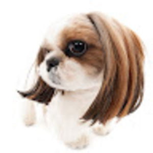 Meet your Posher, Myah